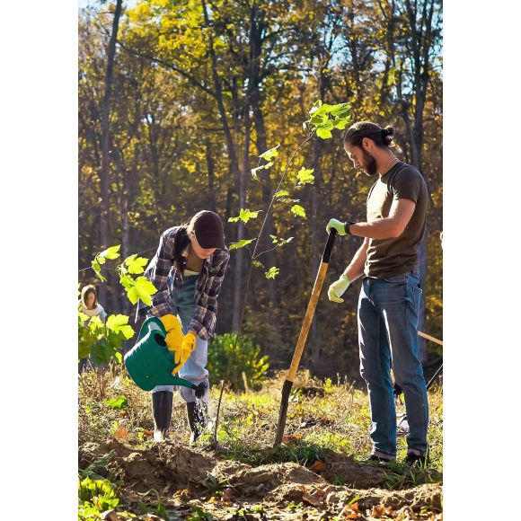 Día Mundial del Medio Ambiente: su historia y relevancia para nuestra época