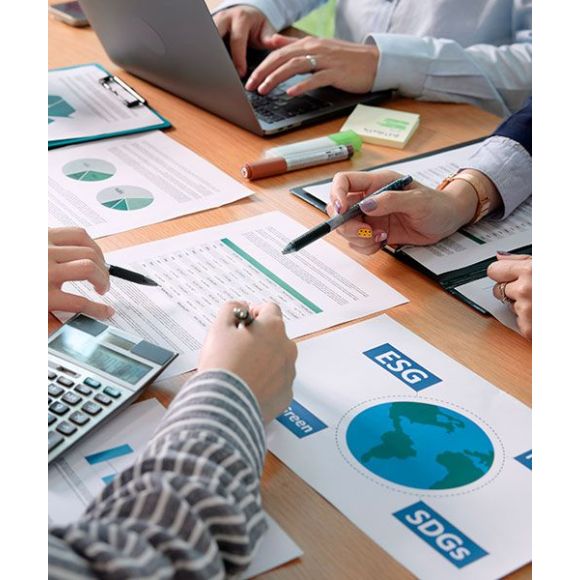 Comité de Sostenibilidad GRI 2-12, GRI 2-13, GRI 2-14