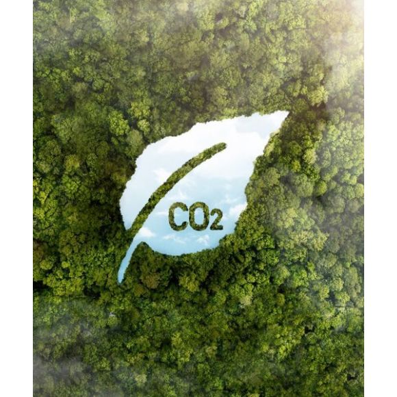 Reducir las emisiones de carbono GRI 302-1, GRI 302-4, GRI 305-1, GRI 305-2, GRI 305-5