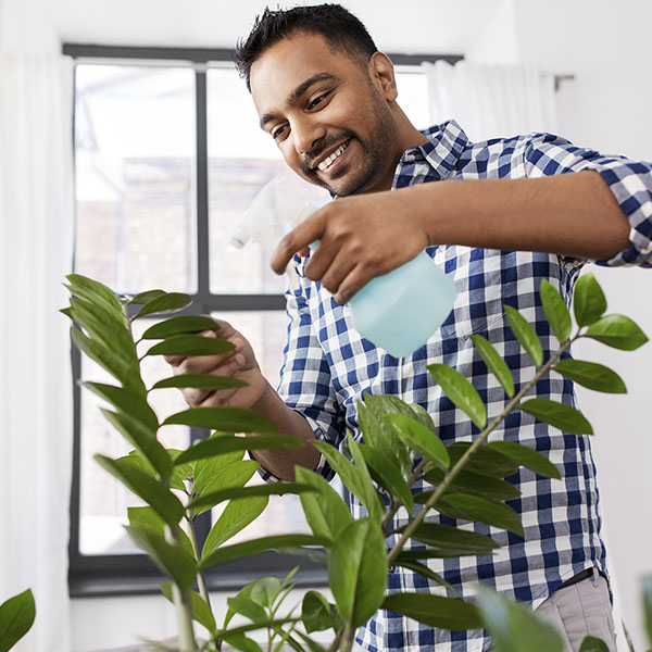 Hombre joven latino regando una planta al interior de su hogar dentro de un diseño biofílico para mejorar su bienestar